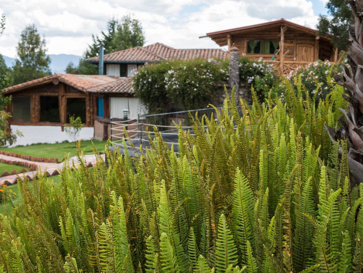 Zaysant Ecolodge Puembo Eksteriør bilde